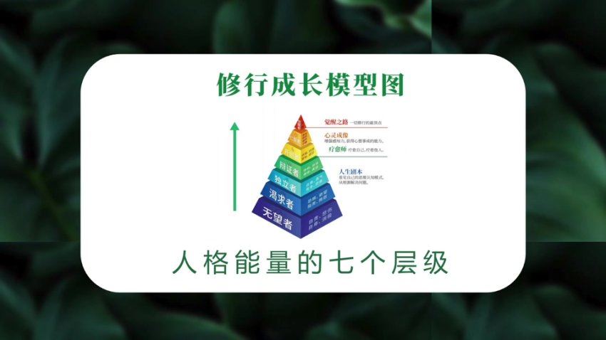 尤尤-7天心力修行课-第二期5课 网盘分享(2.94G)