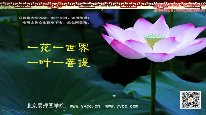 姜智元金口直断速成班合集 网盘分享(7.61G)