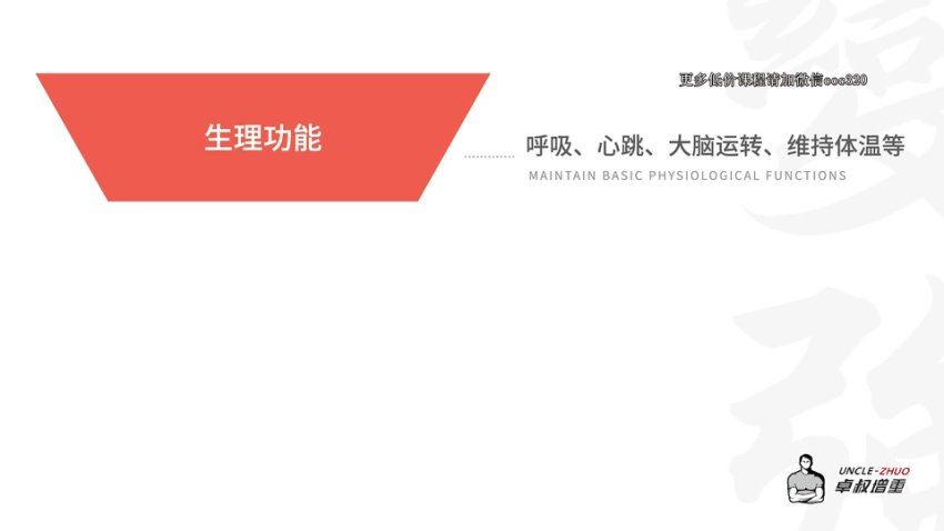 卓叔·增肌营养 （完结） 网盘分享(2.54G)