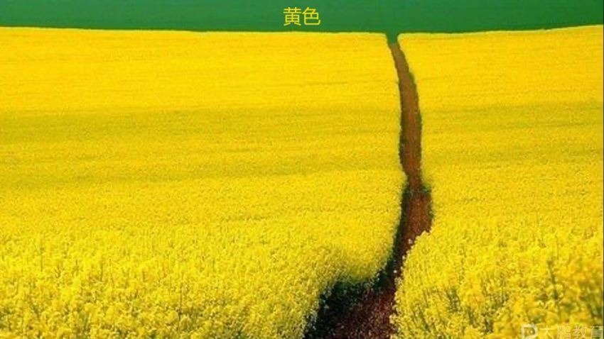 ui功能基础（12节） 网盘分享(2.48G)