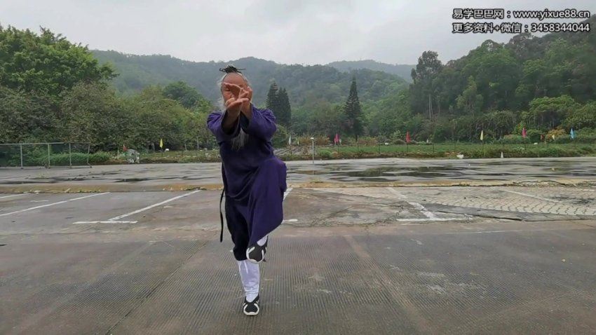 长安师智-武当太乙五行拳详细版课程16课时 网盘分享(824.78M)