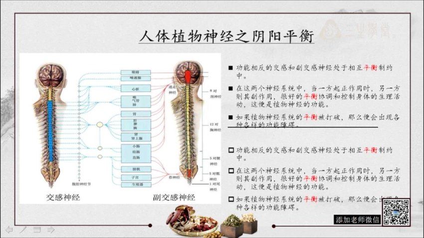 乔治良中医入门必修《中医基础理论-如树之根，楼之地基。系统全面听懂导师全程指导 网盘分享(30.86G)