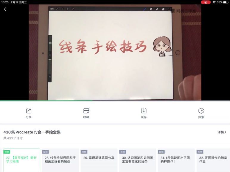 【缺课】兔豆泥ipad插画课【画质高清】 网盘分享(52.98G)