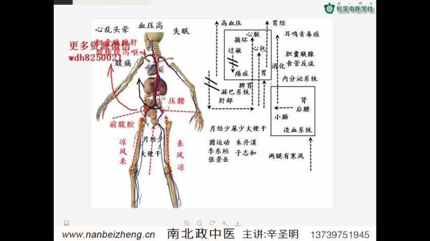 辛圣明第20期南北政脉诊实战录像全集39课 网盘分享(3.33G)