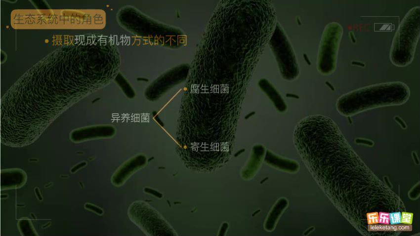 细菌、真菌、病毒及与人类的关系 网盘分享(286.05M)