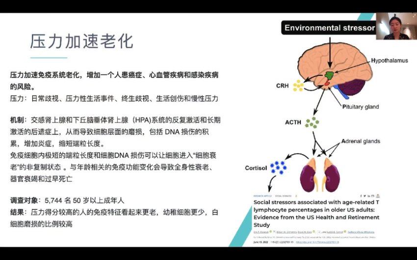 琳子博士-脑科学底层思维课（12节持续更新） 网盘分享(886.57M)
