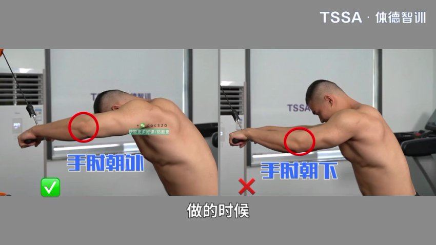 李维刚宽厚虎背攻略（刚哥亲授） 网盘分享(154.33M)