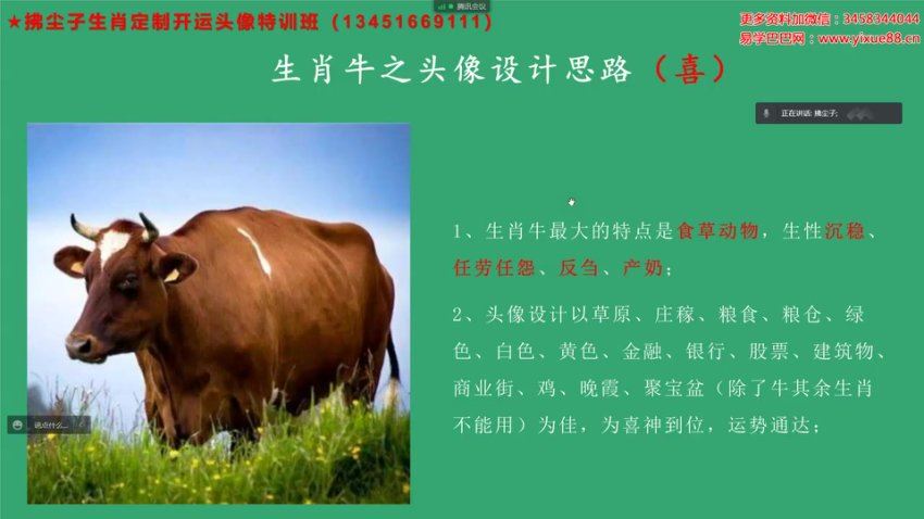 拂尘子生肖定制开运头像特训班 网盘分享(1.14G)