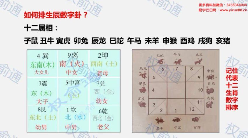 权俞通生肖神数公益课专栏 5集 网盘分享(346.83M)
